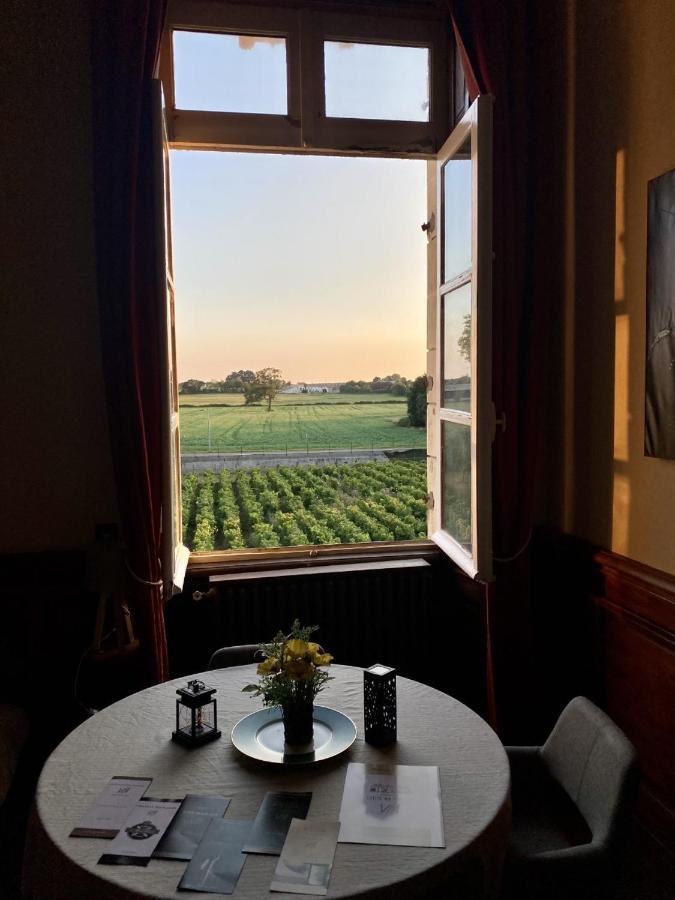 Saint-Philbert-de-Grand-Lieu Hotel Particulier Chateau Des Marais Proximite Et Vue Sur Le Lac De Grand Lieu מראה חיצוני תמונה